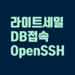 lightsail-db-접속