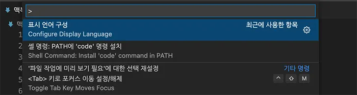 VScode 표시언어 구성