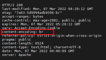우분투 Apache2 brotli curl Accept-Encoding